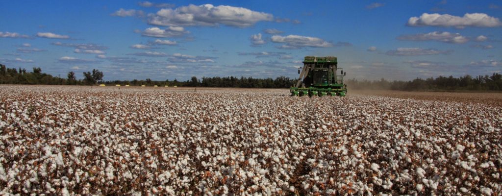 The State of Agriculture in Suffolk