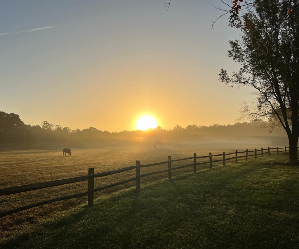 The Loss of Farmlands: A Loss for All of Us